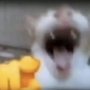 A blurry cat with an open mouth pointing a yellow-gloved finger directly at the viewer.