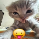 emoji_24 Discord sticker - MundoRicoso