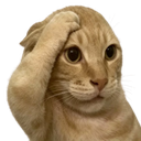 An orange cat with a paw on its forehead looking confused.