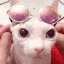 BingusSwag Discord emoji