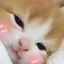 A close-up of a ginger kitten with a smug expression and pink blush marks on its cheeks.