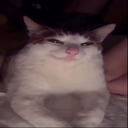 BAE0ECC5_9EB5_4226_925C_6499F5BE Discord sticker from Lovers Cafe™🌷India | Indian Discord server • Indian Discord  Community • discord india • Active