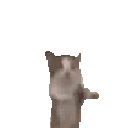 :1299joy: