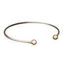 dog_jewel