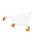 honk