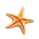 004_orange_starfish