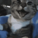 369_woowoocat animated emote from Rabbit Hole