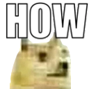 A low-quality image of a doge with the word HOW written in large white letters above it.