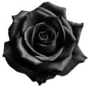 blackf6 Discord sticker from PumpkinCosmos' server