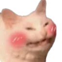jblush