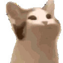 Cat with a closed mouth and a cat with an open mouth side by side.