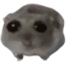 sadhampter
