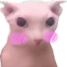 shycat