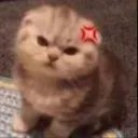 kittymad_ui