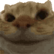 SLM_YesYes animated emote | Starlit Meadow