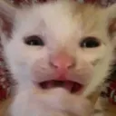 SLM_eww custom emote from Starlit Meadow
