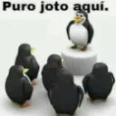 purojoto