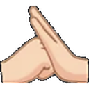 palmsalute