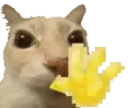 hihihi