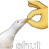 :shut_up: