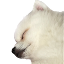 CocoSleep Discord sticker | Solkhemeia