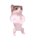 catdance animated GIF emoji from Solkhemeia
