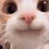 hihi_aeliisa animated GIF emoji from Solkhemeia
