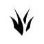 <:jungle_lane:1552106347653373993>