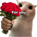 :emoji_17: