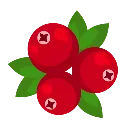 :cranberry: