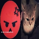 A split-screen image showing a red angry emoji on the left and a grumpy-looking cat on the right.