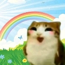 A cat with a wide, happy, open-mouthed expression standing in a grassy meadow under a bright rainbow.