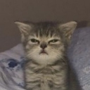 :aaaa: