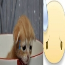 A sad orange kitten sitting in a white bowl next to a yellow smiley face with a large sweat drop.