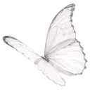 :ate_butterfly: