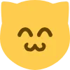 SillyCat custom emote from The Cove