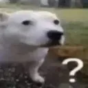 what