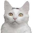 hide Discord emoji