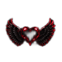 A glossy dark red heart with black feathered wings centered on a black background.