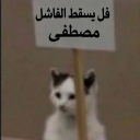 A small white and gray kitten holding a wooden sign with Arabic text written on it.