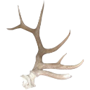 006_antlers custom emote | Deco 2!