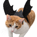 An orange and white cat wearing black bat wings on its back.