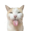 bleh55 Discord Emoji - RJ's Game House