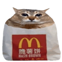 A cat head looking forward while emerging from a white paper bag with a red logo.