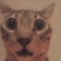 :catomg: