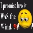 emoji_17