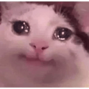 :catemotional: