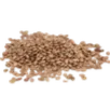 seeds