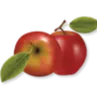 apples