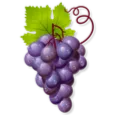 grapes